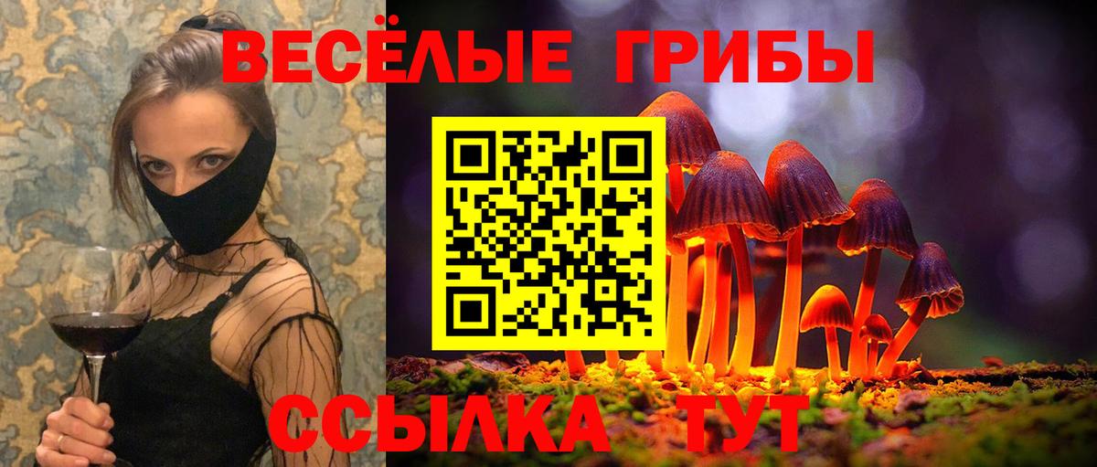 Псилоцибиновые грибы Psilocybe Щёлково